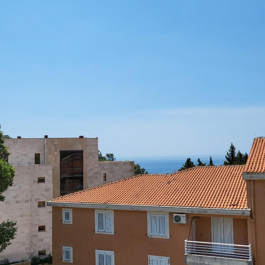 Apartmani Mia Sorajic Petrovac Eksteriør billede
